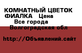 КОМНАТНЫЙ ЦВЕТОК -ФИАЛКА › Цена ­ 1 500 - Все города  »    . Волгоградская обл.